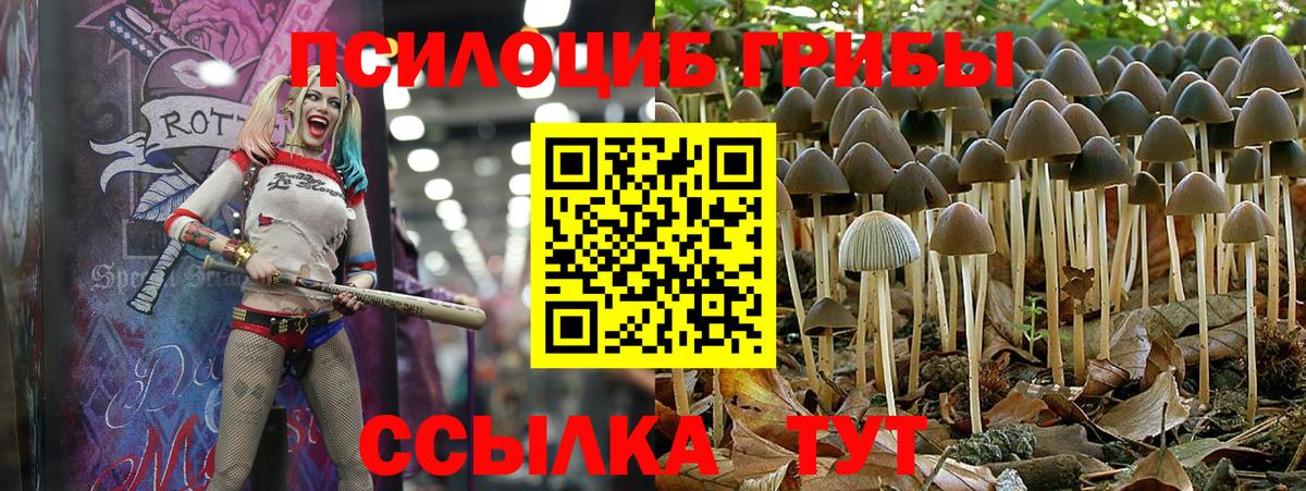 Галлюциногенные грибы мухоморы Серов